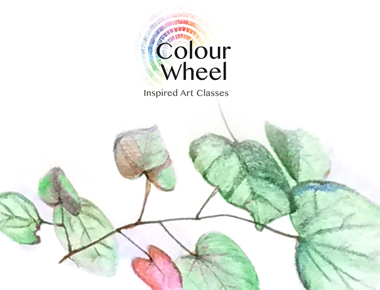 Course Details ColourWheel Art Classes