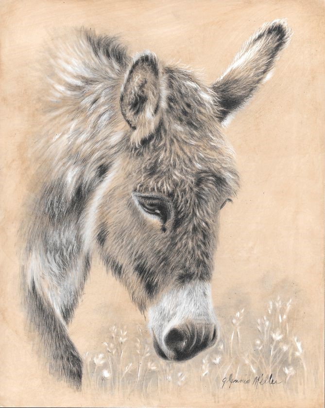 New Project: Alternative Donkey Portrait ColourWheel Art Classes